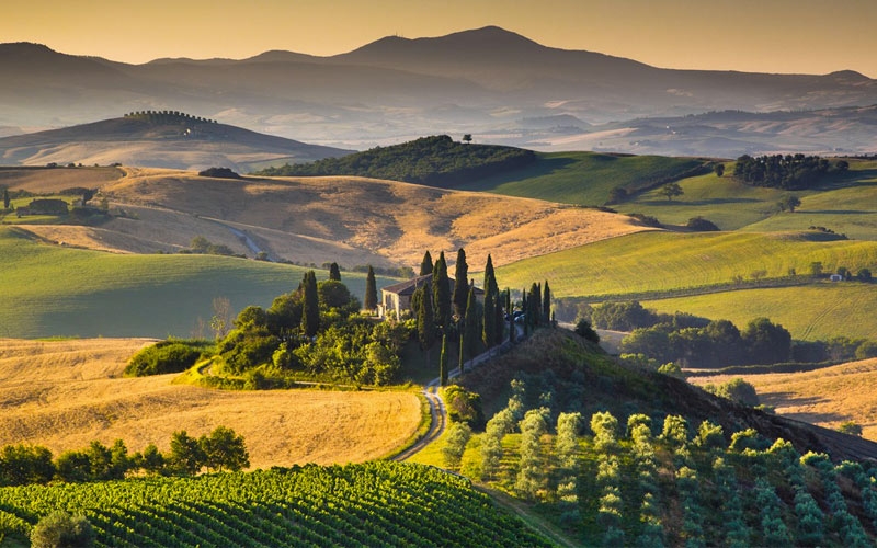 strada del vino